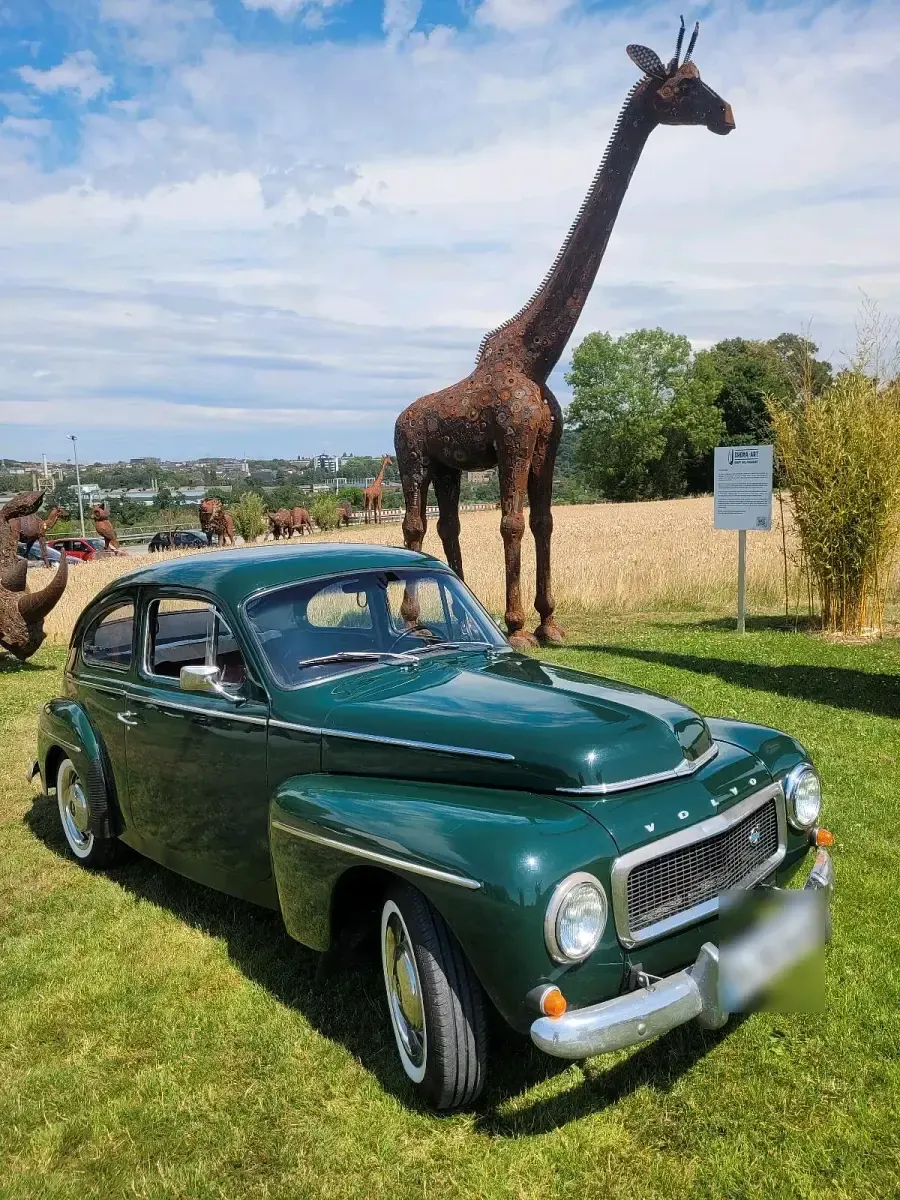 Gebraucht Volvo PV544 75 PS (55 kW) 1961 Grün Coupé