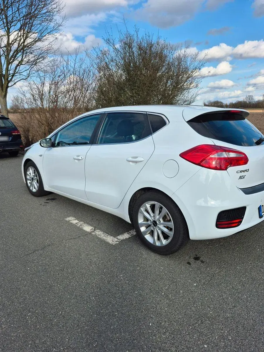 Gebraucht Kia Ceed Edition 7 101 PS (74 kW) 2018 Weiß Kleinwagen