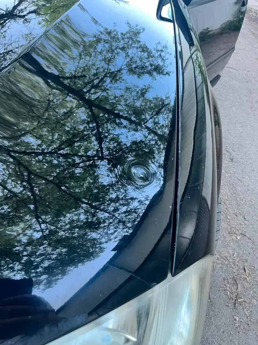 Gebraucht VW Passat Trendline 170 PS (125 kW) 2001 Schwarz Kombi