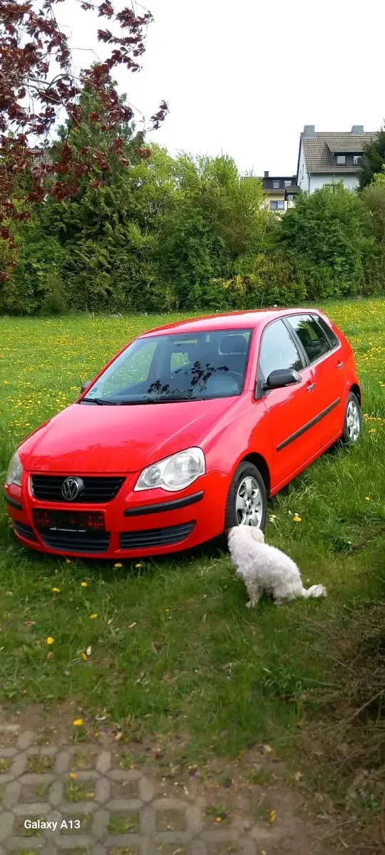 Gebraucht VW Polo 60 PS (44 kW) 2008 Rot Kleinwagen