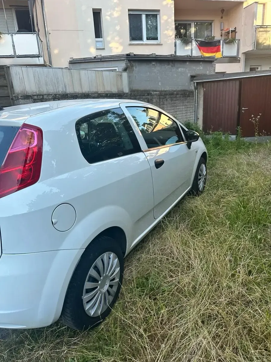 Gebraucht Fiat Punto 73 PS (53 kW) 2012 Weiß Kleinwagen