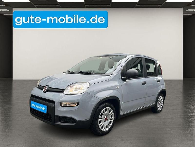 Grau Gebraucht 2023 Fiat Panda Limousine | 11.790 € (Fairer Preis) - Bild 1/4