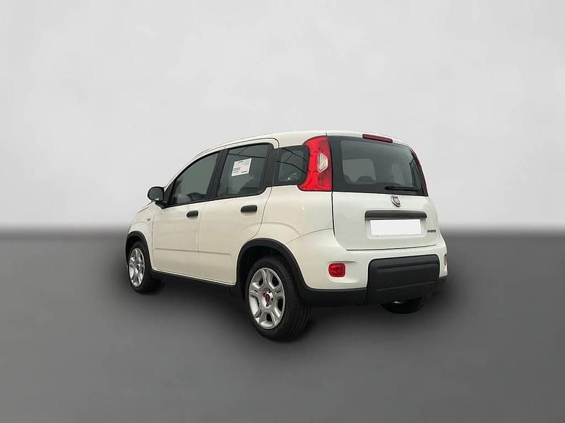 Gebraucht Fiat Panda 69 PS (50 kW) 2024 Weiß Kleinwagen