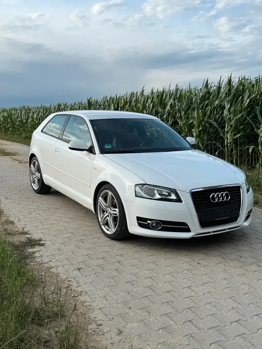 Gebraucht Audi A3 S-Line 140 PS (102 kW) 2011 Weiß Kleinwagen