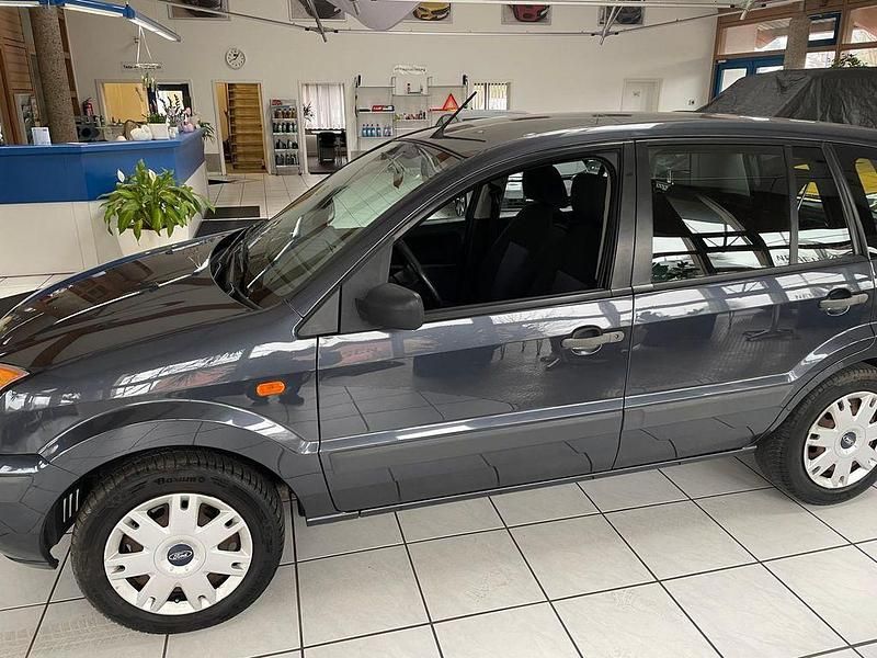 Gebraucht Ford Fusion Style 80 PS (58 kW) 2009 Grau Kleinwagen