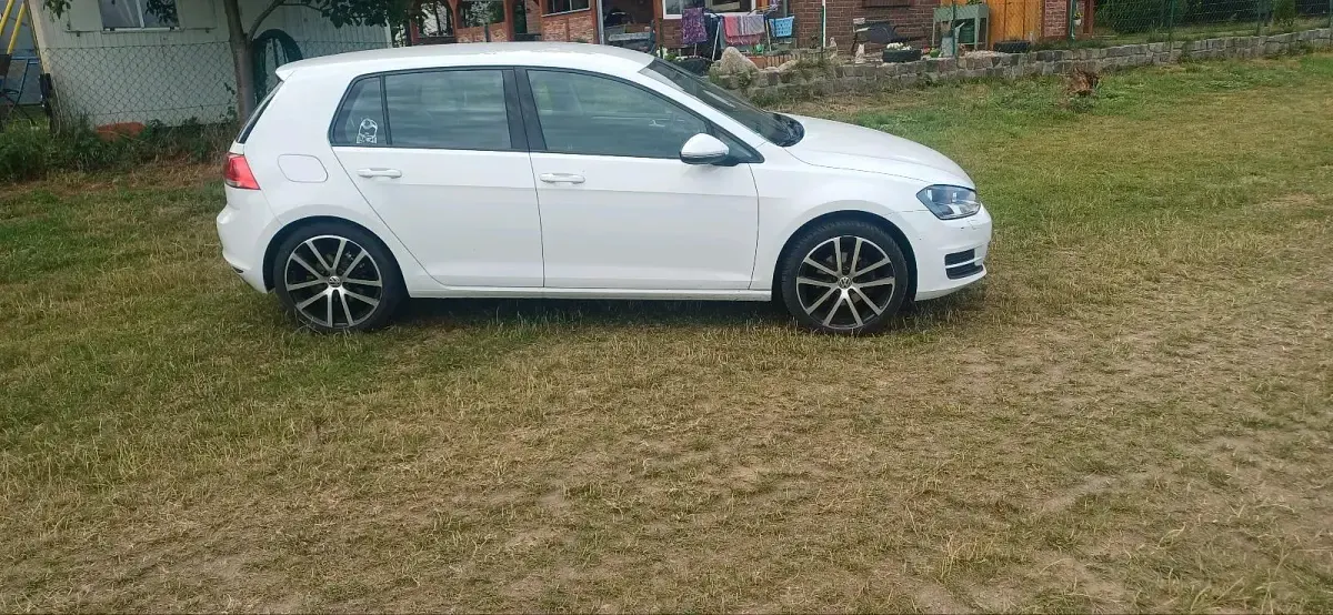 Gebraucht VW Golf VII 110 PS (80 kW) 2015 Weiß Kleinwagen