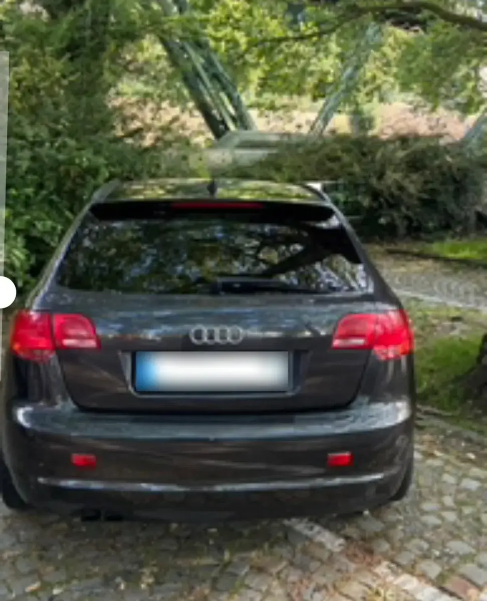 Gebraucht Audi A3 140 PS (102 kW) 2005 Grau Kleinwagen