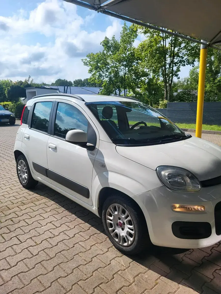 Occasion Fiat Panda 67 ch (49 kW) 2014 Blanc Citadine