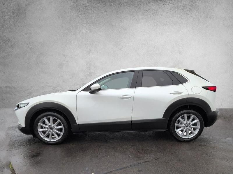 Gebraucht Mazda CX-30 Selection 179 PS (131 kW) 2020 Satinweiß SUV