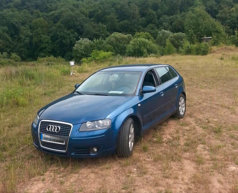 Gebraucht Audi A3 Sportback 116 PS (85 kW) 2004 Blau Kleinwagen