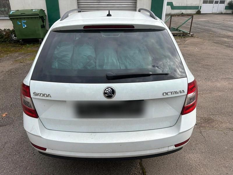 Weiß Gebraucht 2017 Skoda Octavia Kombi | 6.500 € (Superpreis) - Bild 1/4