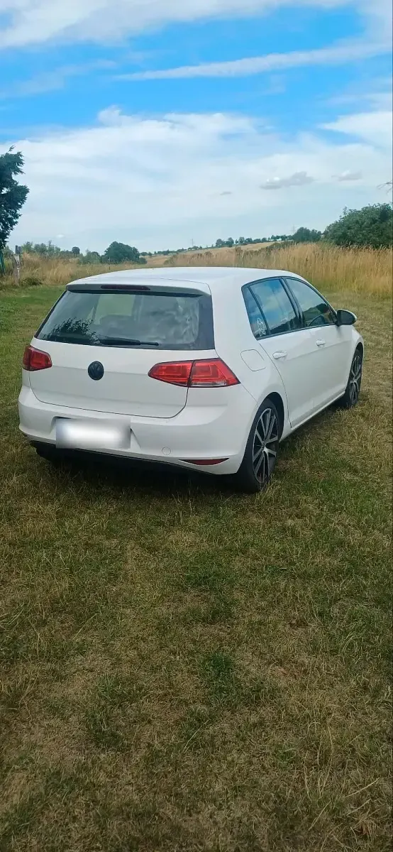 Gebraucht VW Golf VII 110 PS (80 kW) 2015 Weiß Kleinwagen