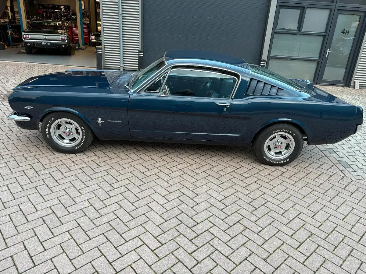 Gebraucht Ford V8 Fastback 202 PS (148 kW) 1965