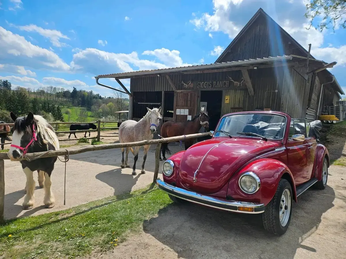 Gebraucht VW Käfer 50 PS (36 kW) 1973 Rot Cabrio