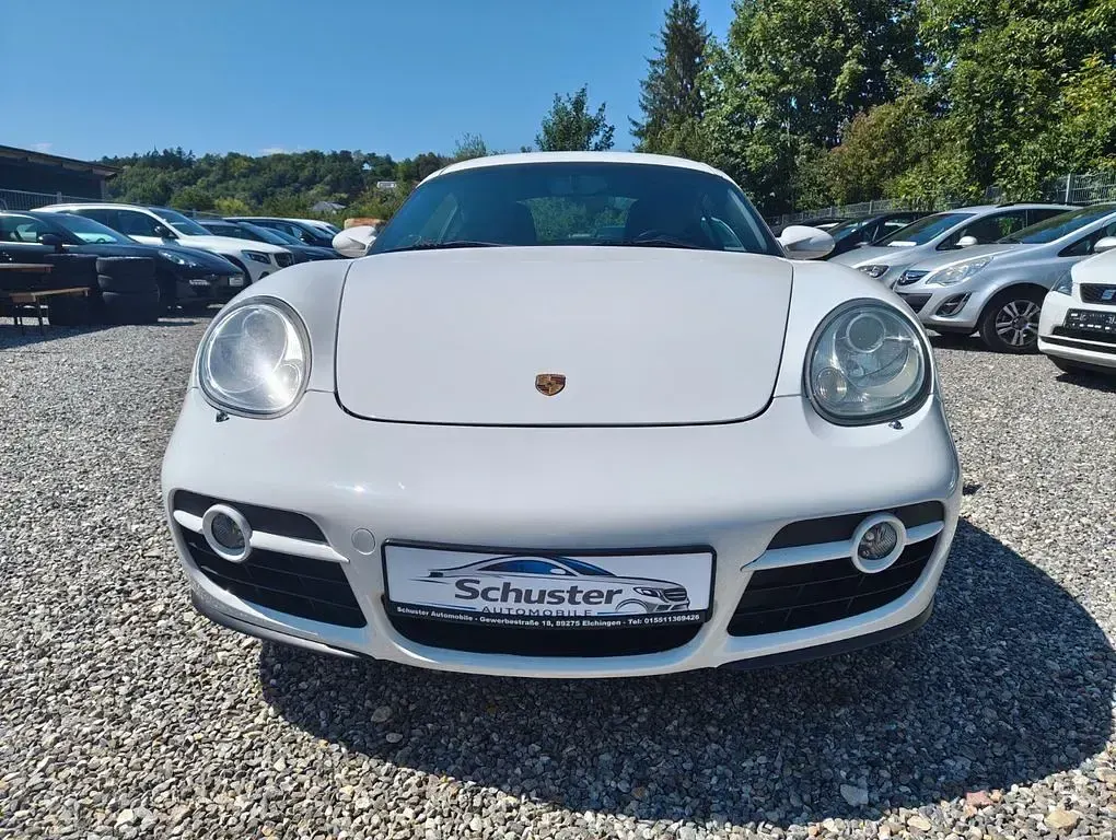 Gebraucht Porsche Cayman Basis 245 PS (180 kW) 2009 Weiß Coupé
