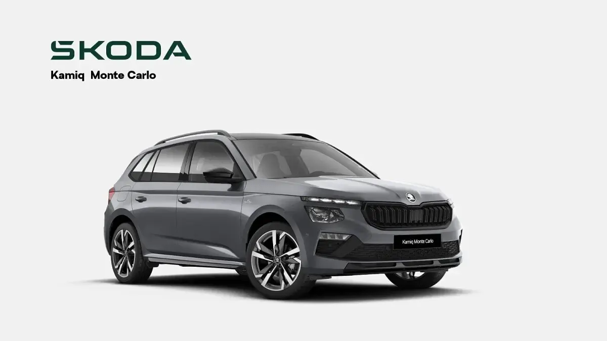 Gebraucht Skoda Kamiq 150 PS (110 kW) 2026 Grau SUV