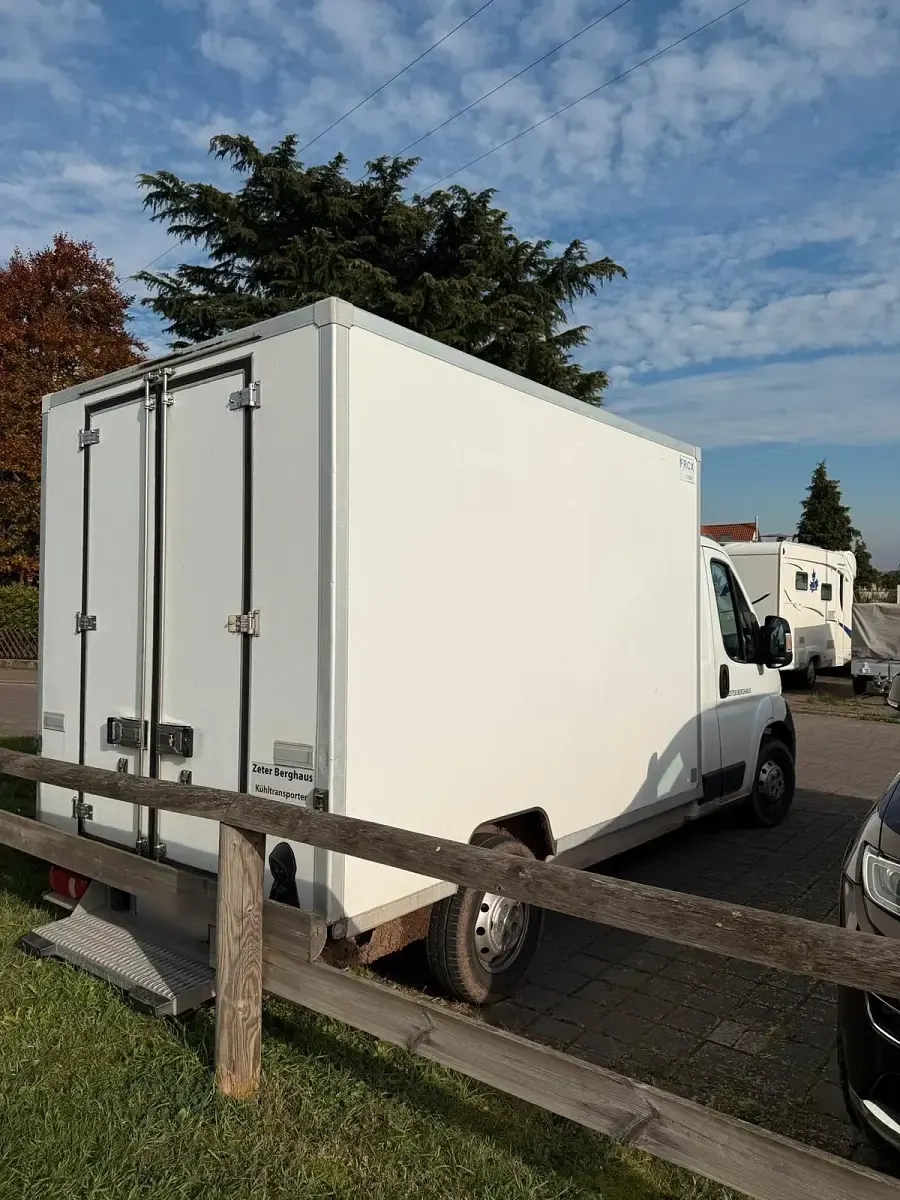 Second-hand Fiat Ducato 2014 Alb Van