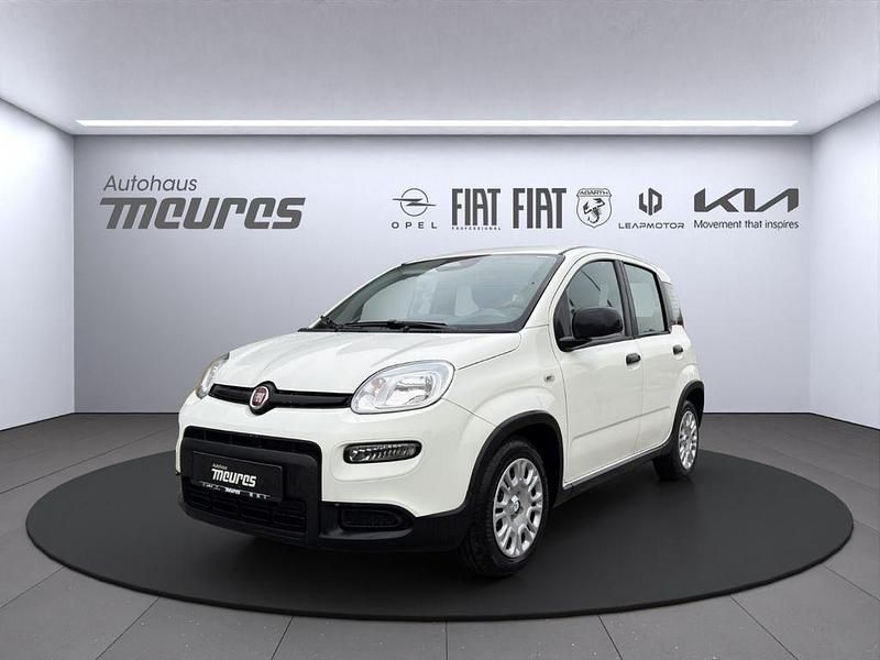 Weiss Gebraucht 2025 Fiat Panda Kleinwagen | 13.450 € (Fairer Preis) - Bild 1/4