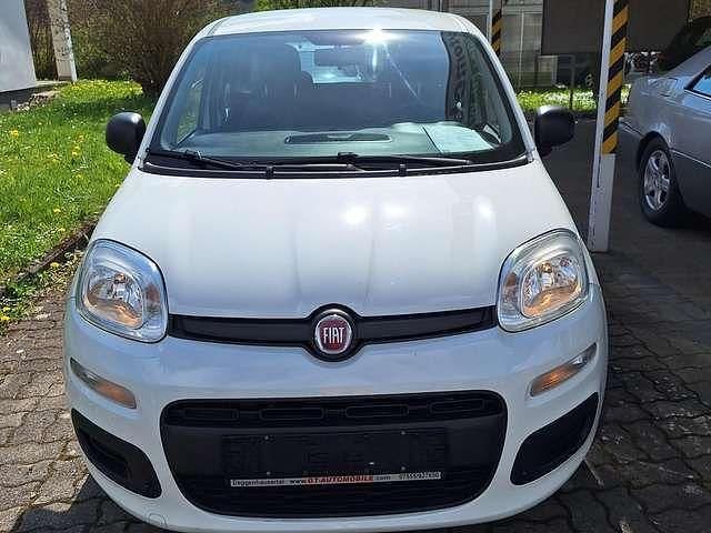 Gebraucht Fiat Panda Easy 69 PS (50 kW) 2017 Colore esterno (weiss) Kleinwagen