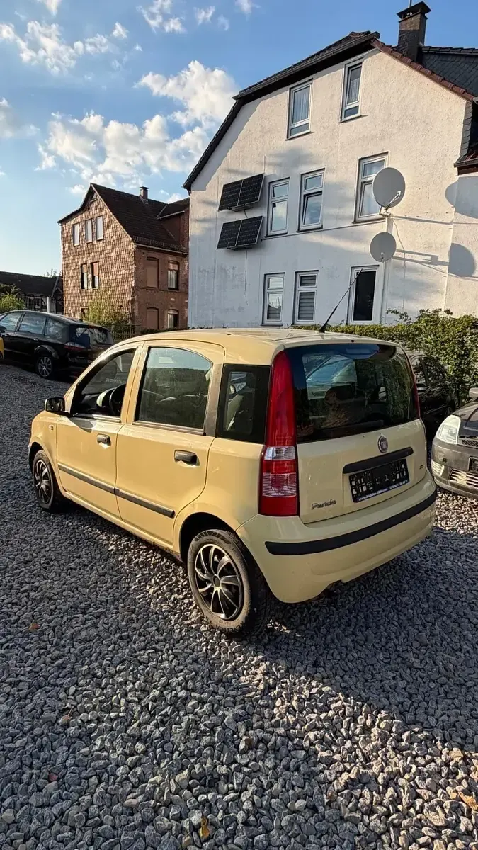 Brugt Fiat Panda 60 HK (44 kW) 2009 Gul Hatchback