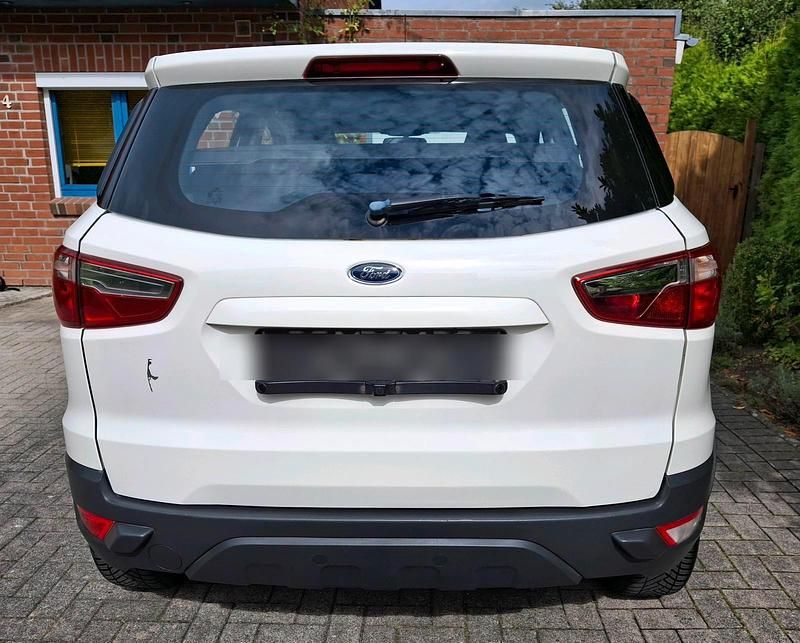 Gebraucht Ford Ecosport Trend 125 PS (91 kW) 2017 Weiß SUV