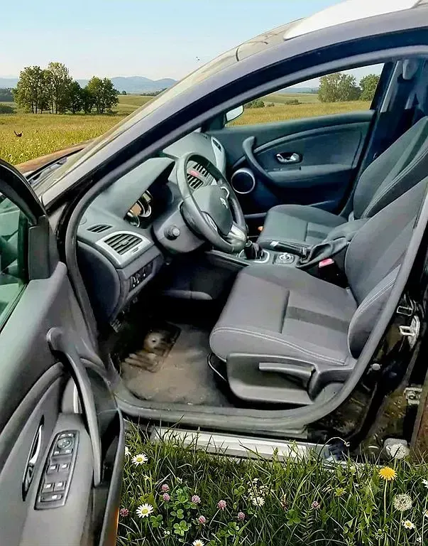 Gebraucht Renault Mégane Dynamique 116 PS (85 kW) 2012 Schwarz Limousine