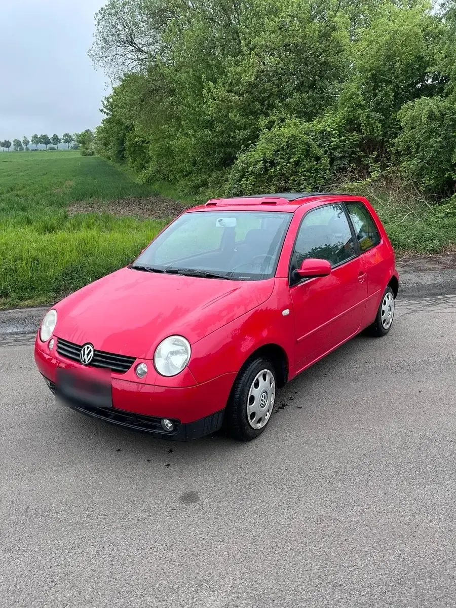 Gebraucht VW Lupo 75 PS (55 kW) 2005 Rot Kleinwagen
