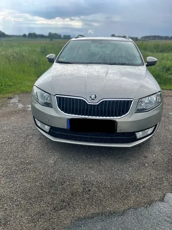 Gebraucht Skoda Octavia Active 110 PS (80 kW) 2015 Grau Kombi