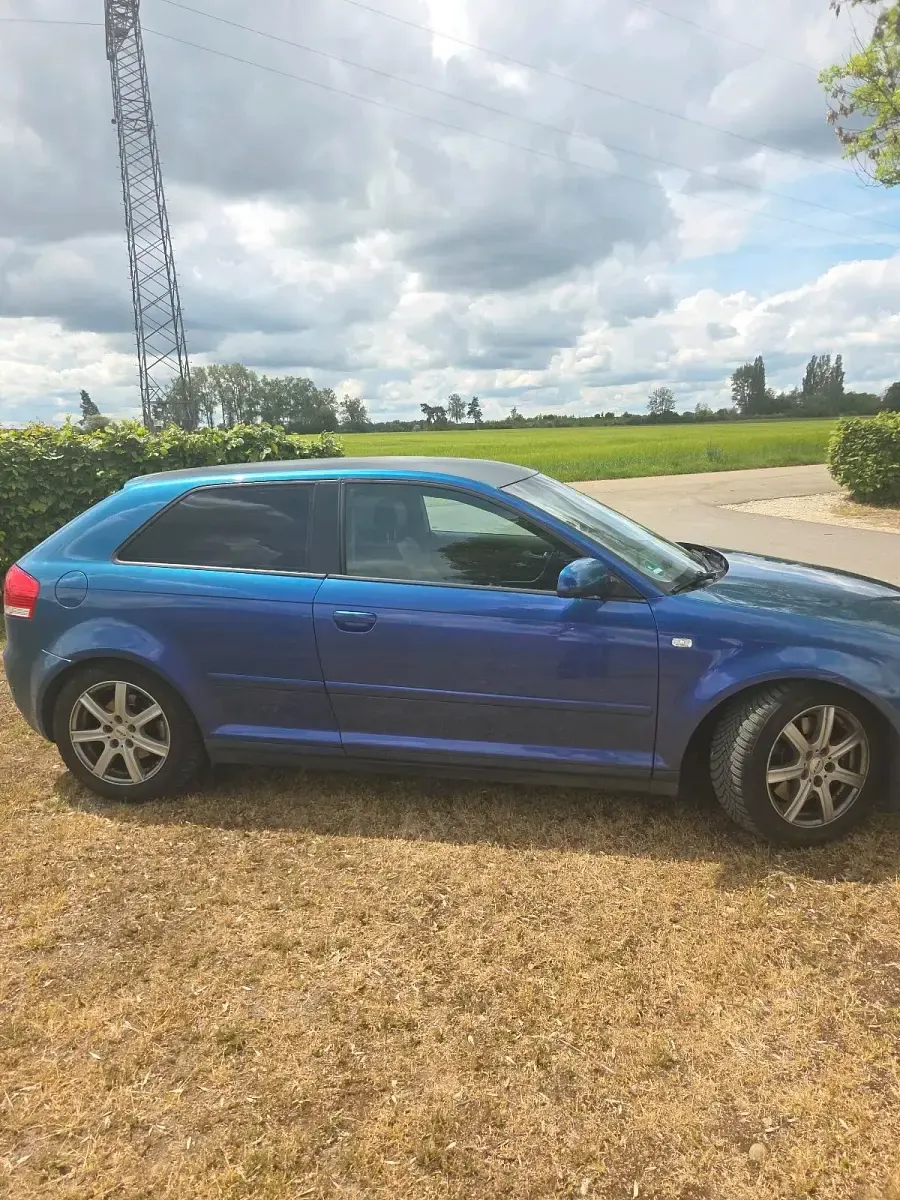 Gebraucht Audi A3 S-Line 200 PS (147 kW) 2008 Andere farben Kleinwagen
