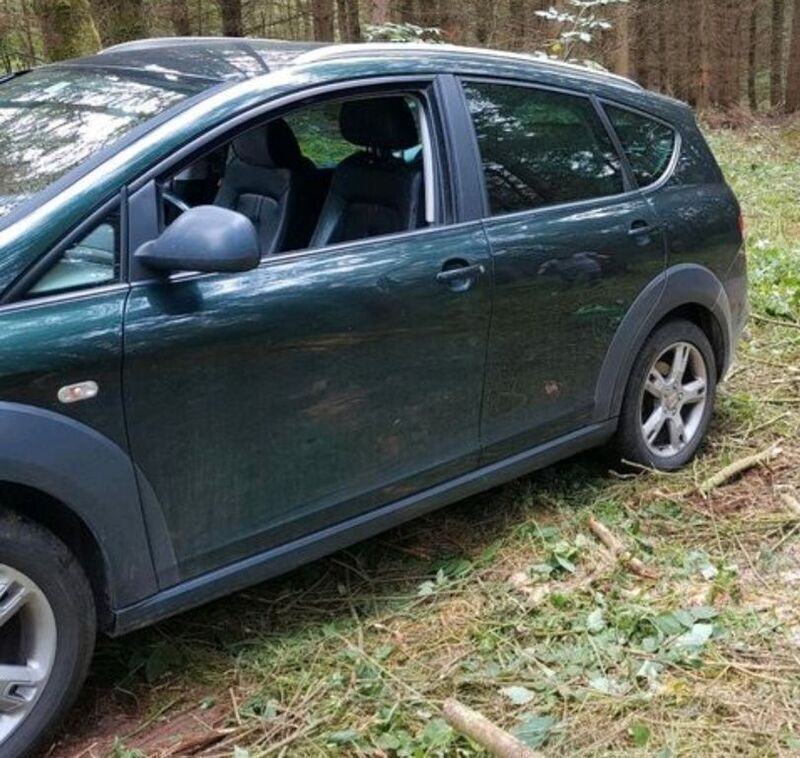 Gebraucht Seat Altea 170 PS (125 kW) 2009 Grün Van / Kleinbus