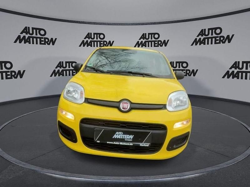 Neu Fiat Panda Icon 69 PS (50 kW) 2026 Gelb Kleinwagen