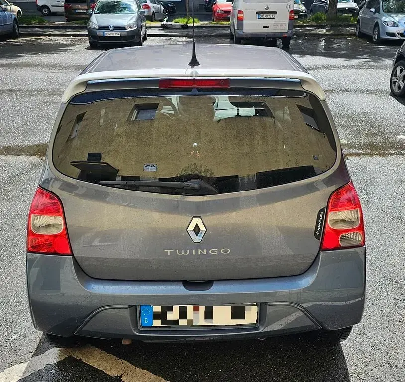 Używany Renault Twingo Rip Curl 75 KM (55 kW) 2010 Szary Hatchback