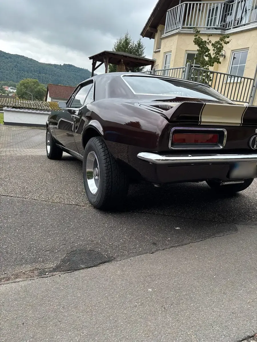 Gebraucht Chevrolet Camaro 280 PS (205 kW) 1967 Coupé
