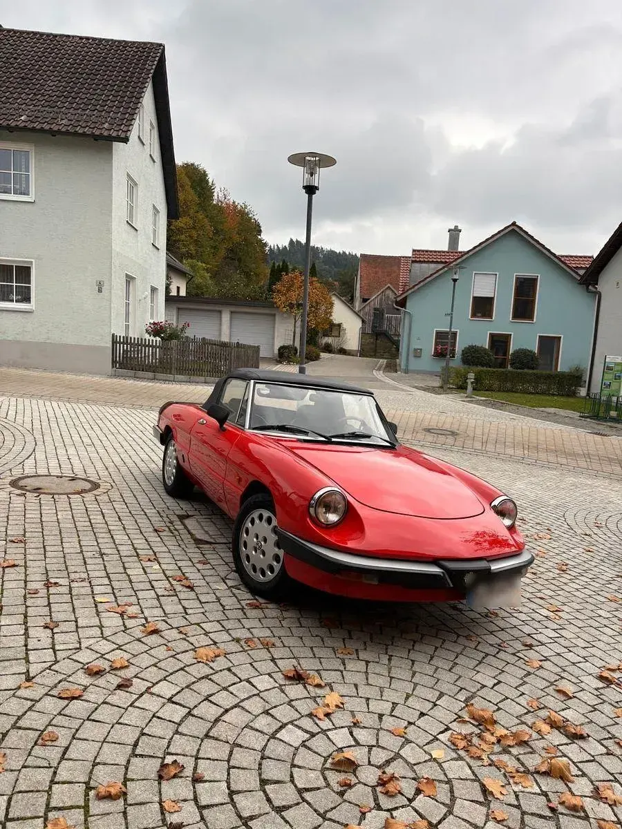 Gebraucht Alfa Romeo Spider 126 PS (92 kW) 1984 Rot Cabrio