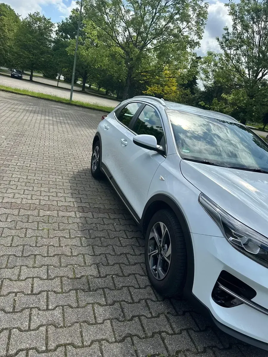 Occasion Kia XCeed Edition 7 120 ch (88 kW) 2021 Blanc SUV