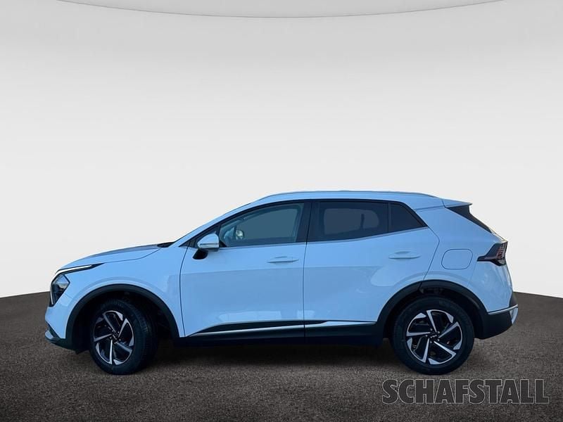 Gebraucht Kia Sportage Vision 160 PS (117 kW) 2024 Casa white SUV