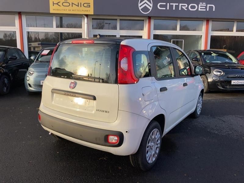 Neu Fiat Panda 69 PS (50 kW) 2025 Schwarz Kleinwagen
