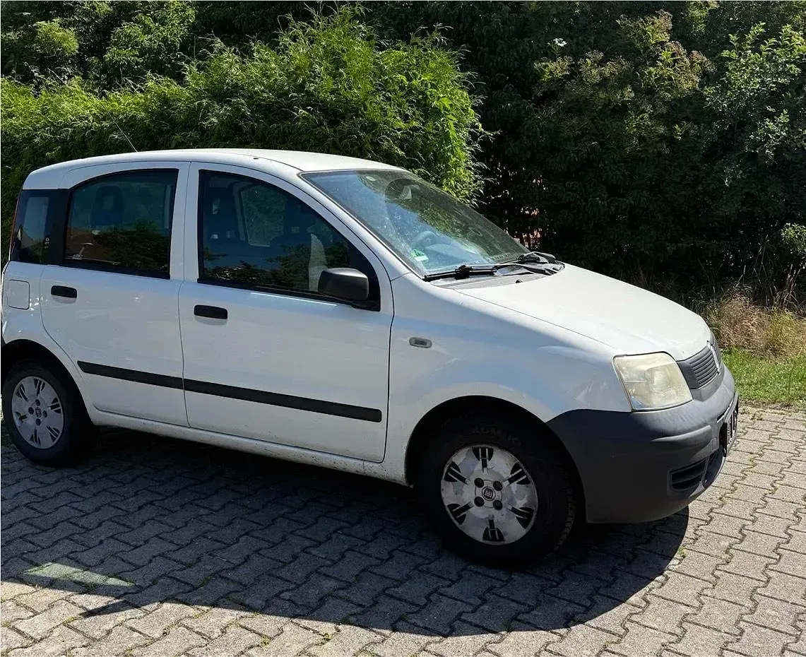 Gebraucht Fiat Panda 65 PS (47 kW) 2009 Weiß Kleinwagen