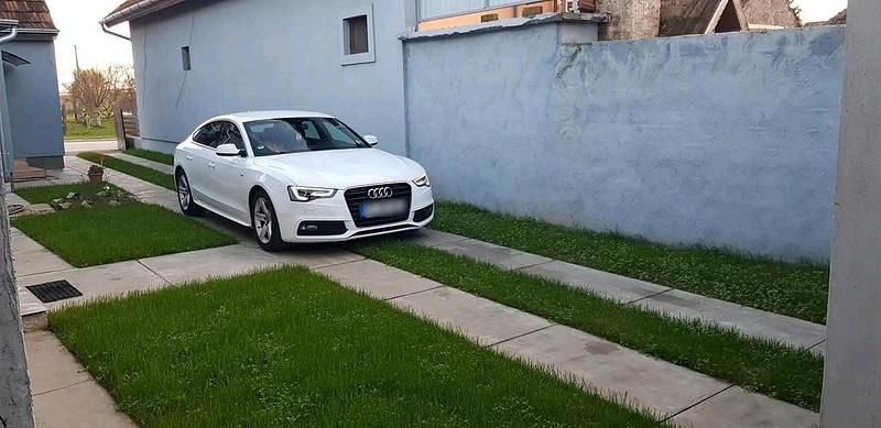 Gebraucht Audi A5 Sportback S-Line 150 PS (110 kW) 2015 Weiß Kleinwagen