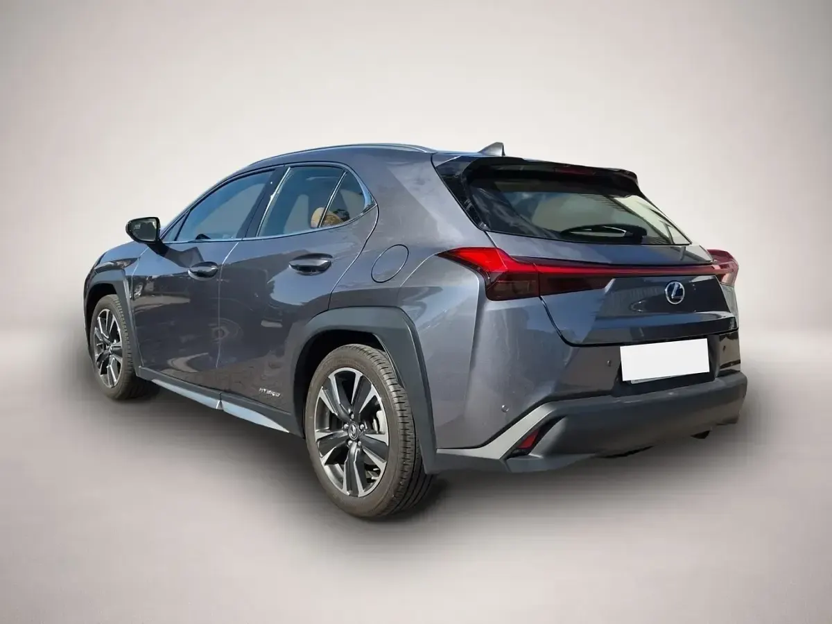 Gebraucht Lexus UX 250h Luxury Line 145 PS (106 kW) 2019 Grau SUV