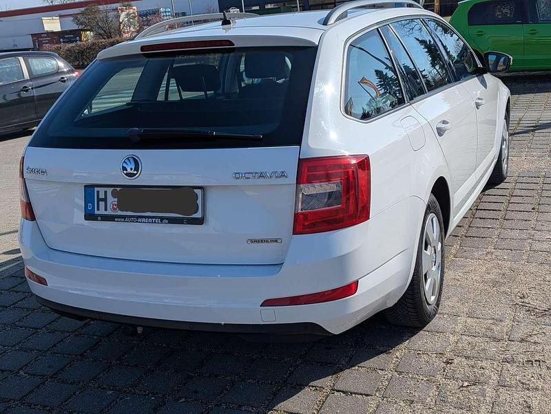 Gebraucht Skoda Octavia GreenLine 110 PS (80 kW) 2014 Weiß Kleinwagen