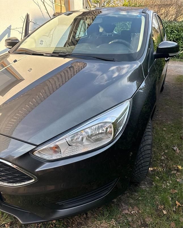 Usata Ford Focus 125 CV (91 kW) 2017 Argento Berlina