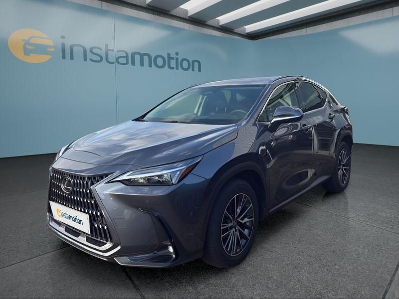 Gebraucht Lexus NX350h 243 PS (178 kW) 2024 Grau SUV