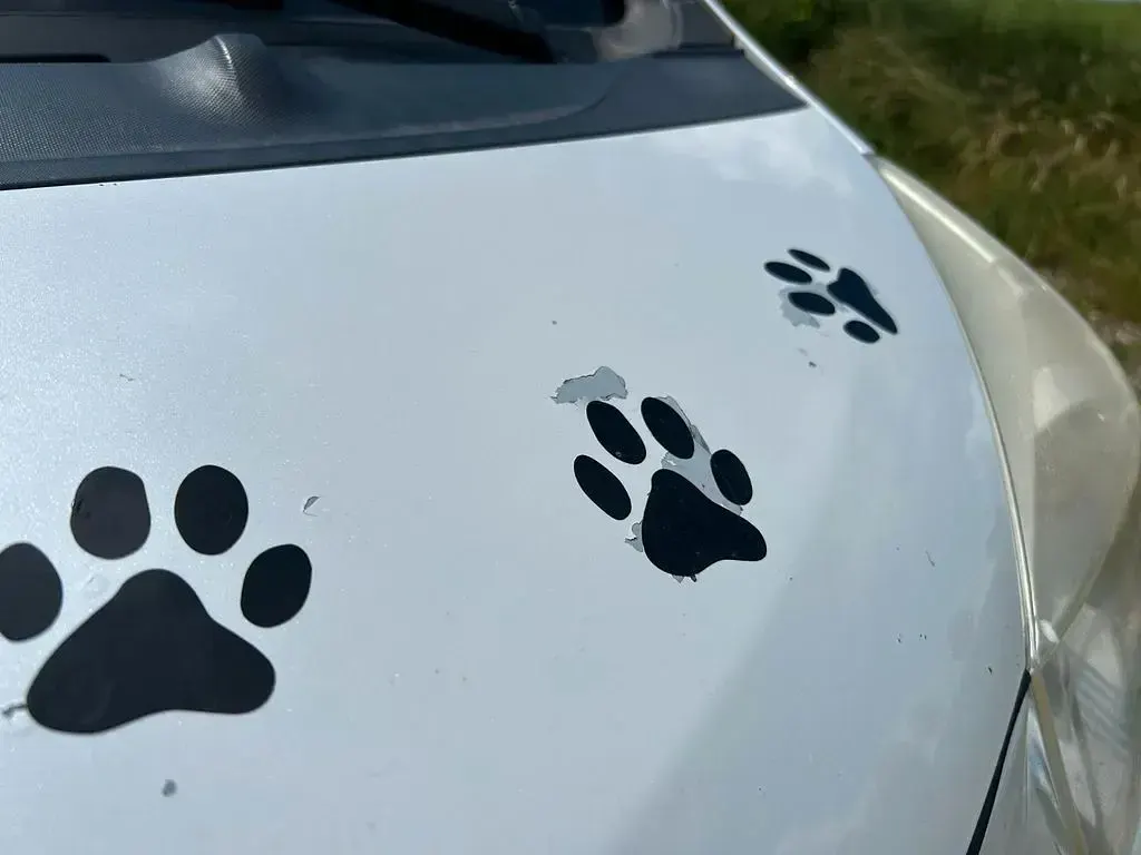 Gebraucht Toyota iQ 68 PS (50 kW) 2010 Weiß Kleinwagen