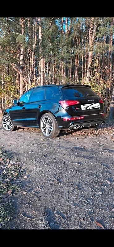 Gebraucht Audi SQ5 Black Edition 326 PS (239 kW) 2017 Schwarz SUV