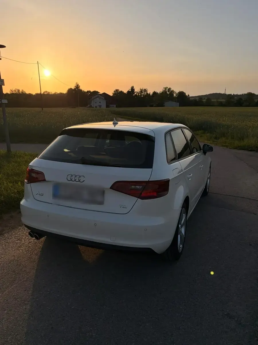 Gebraucht Audi A3 150 PS (110 kW) 2015 Weiß Kombi