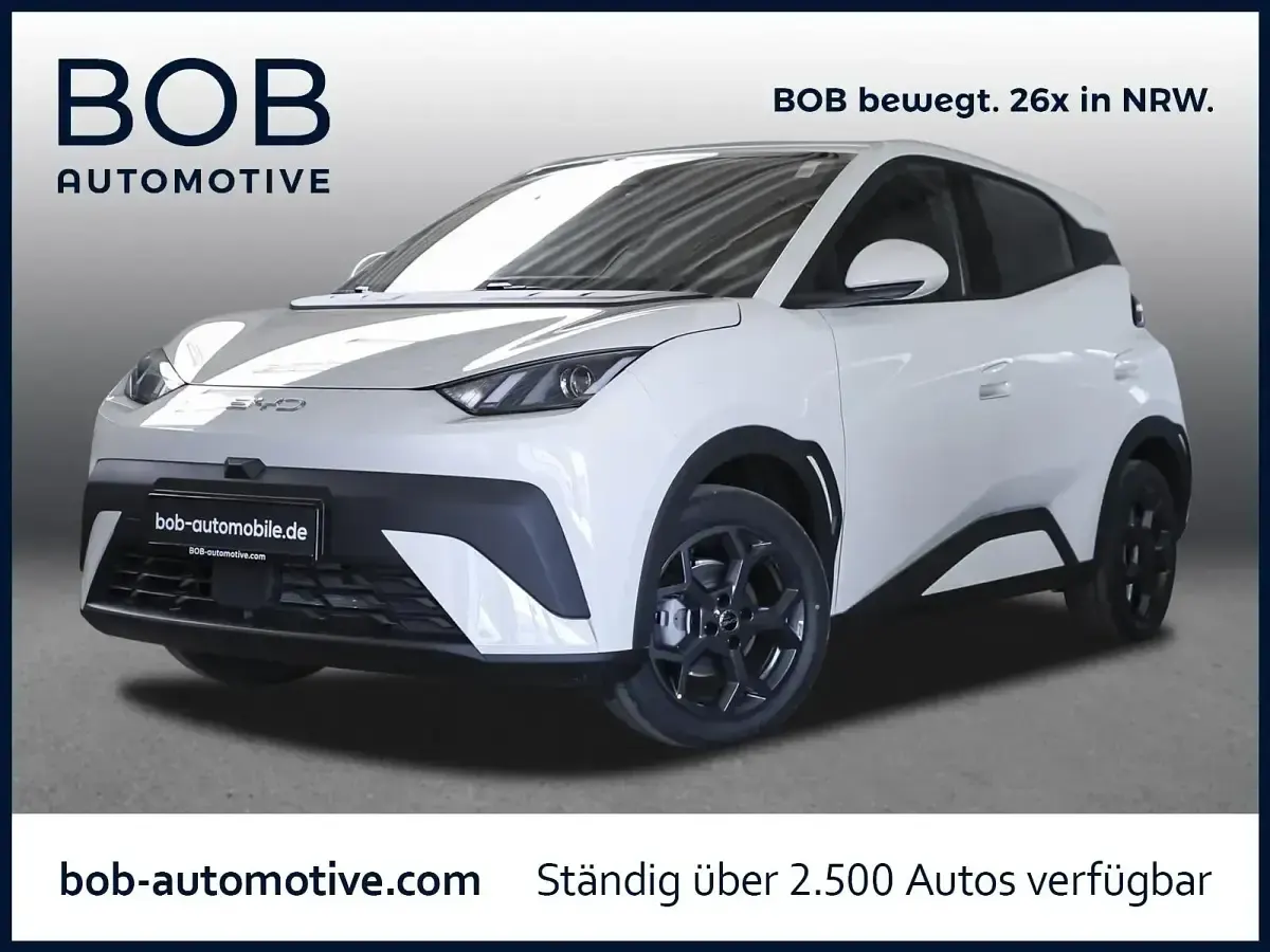 Gebraucht BYD Dolphin Surf Boost 64 kW (88 PS) 2026 Kleinwagen