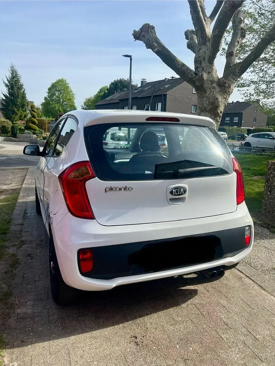 Używany Kia Picanto 69 KM (50 kW) 2013 Biały Hatchback