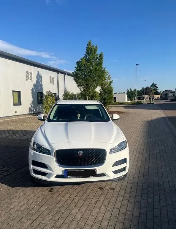 Gebraucht Jaguar F-Pace Portfolio 300 PS (220 kW) 2017 Weiß SUV