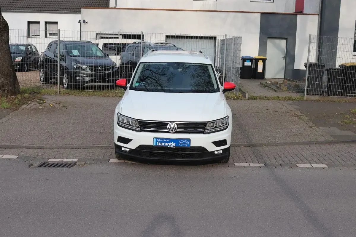 Gebraucht VW Tiguan Comfortline 116 PS (85 kW) 2019 Weiß SUV